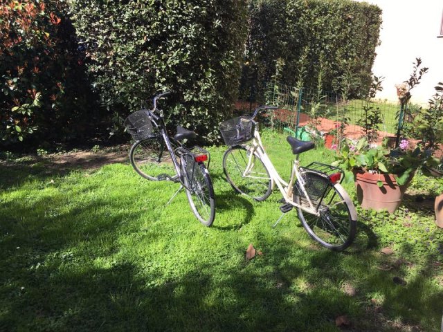 17155266_779481472228494_8578906183649554831_n